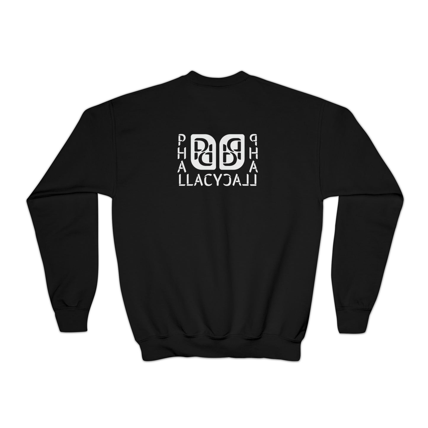 Phallacy Balance Designer Youth Crewneck Sweatshirt