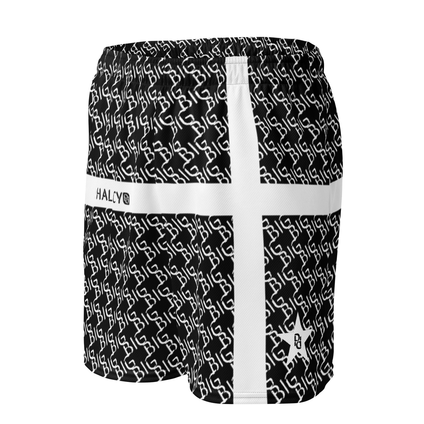 Phallacy BIG Designer Unisex Mesh Shorts